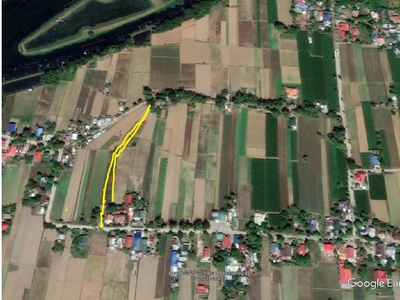 Two Agricultural Lots For Sale Brgy. Capangdanan, Bantay, Ilocos Sur
