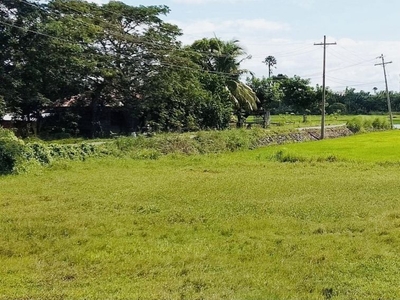 Commercial Lot for Sale along National Road, Nabas Aklan