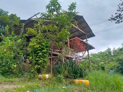 Lot For Sale In Corong-corong Poblacion, El Nido