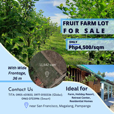 Lot For Sale In Camias, Magalang