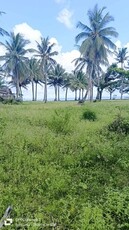 Lot For Sale In Dinahican, Infanta