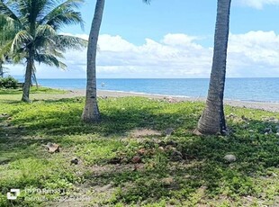 Lot For Sale In Dinahican, Infanta