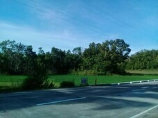 Lot along the provincial road in Bohol