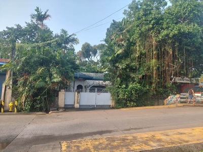 Lot For Sale In San Roque, Antipolo