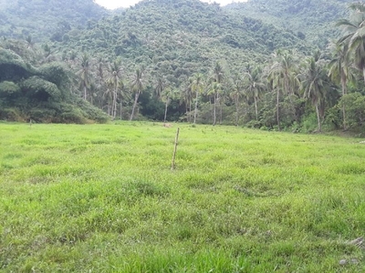 7 Hectares Agricultural Farm Land For Sale in Roxas, Palawan
