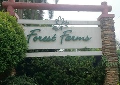 Large Residential Lot in Forest Farms