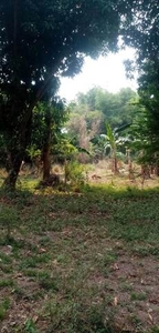 Lot For Sale In Magalang, Pampanga