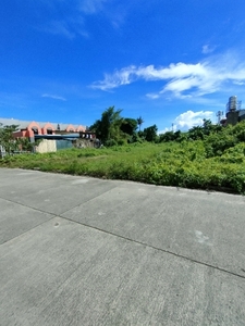 Lot For Rent In Cansojong, Talisay