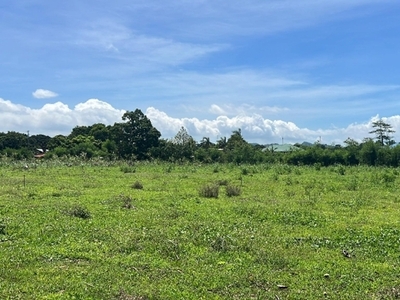 Lot For Sale In Bucal, Calatagan