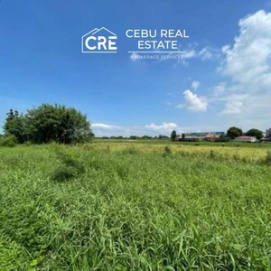 Lot For Sale In Hen. M. Trias, Cavite City