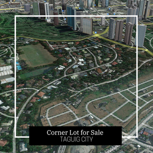 Lot For Sale In Mckinley Hill, Taguig