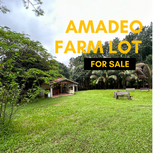Lot For Sale In Minantok Kanluran, Amadeo