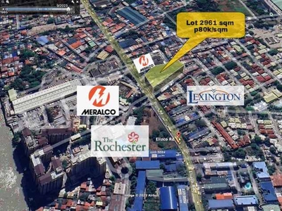 Lot For Sale In San Joaquin, Pasig
