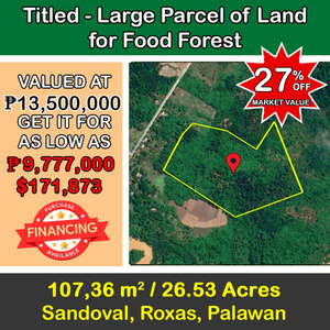Lot For Sale In Sandoval, Roxas