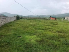 Agricultural Lot for Sale Ready to use 4,000/sqm (Min.Cut 383 sqm) Mendez