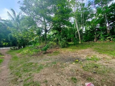 1.37 Hectares Clean-Titled Land for Sale in Barili Cebu at P6M