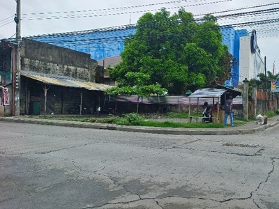Lot For Sale In Dicarma, Cabanatuan