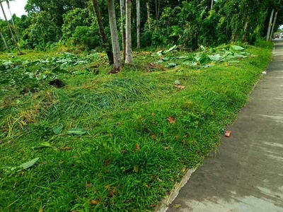 Lot For Sale In Gulayon, Dipolog