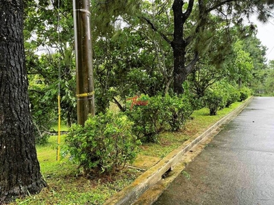 Lot For Sale In Patutong Malaki North, Tagaytay