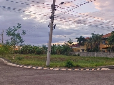 Lot For Sale In Sumacab Este, Cabanatuan