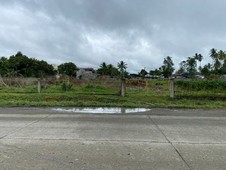 Tagum City 6,000 sqm Prime Commercial Land for Sale