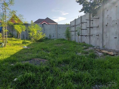 Other lots for sale in Minglanilla