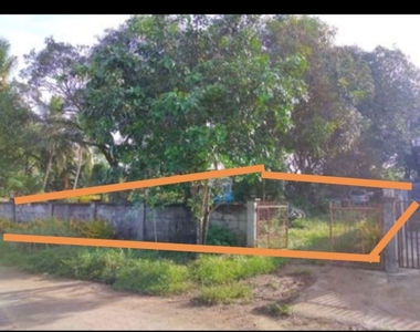 Residential/commercial lot for sale in Bancasi, butuan city