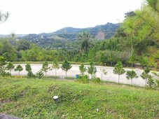 Prime Lot for Sale in Pit os Talamban