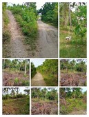 ALONG ROAD LOT FOR SALE IN BACLAYON BOHOL
