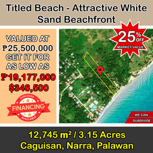 Lot For Sale In Caguisan, Narra