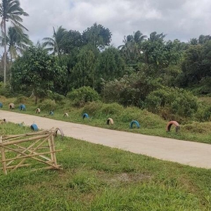 Lot For Sale In Ibaba Del Norte, Paete