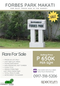 Lot For Sale In Makati, Metro Manila
