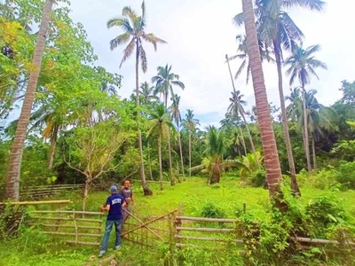 Lot For Sale In Tultugan, Calape