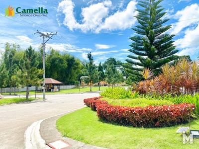 Rush Sale House and Lot in Dumaguete