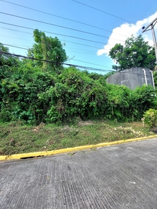 150sqm Lot for sale in South Hills Subdivision
