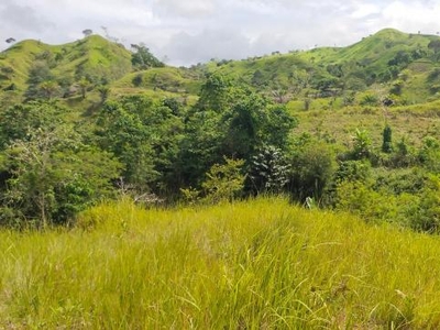 Agricultural Lot for sale in Buenavista