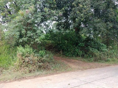 Lot For Rent In Hermosa, Bataan
