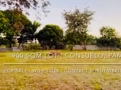LOT For SALE! Consuelo,Pampanga For Sale Philippines