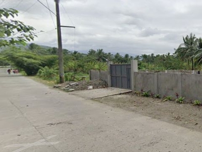 1000 sq. meters Agricultural Lot for Sale at Sabang, Magdalena, Laguna