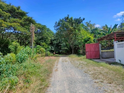 Lot For Sale In Canito-an, Cagayan De Oro