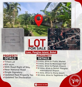 Lot For Sale In Looc, Panglao
