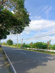 Commercial Lot along Manila East road | Pilia Rizal