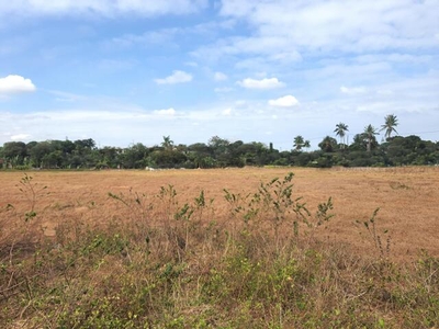 Lot For Rent In Naic, Cavite