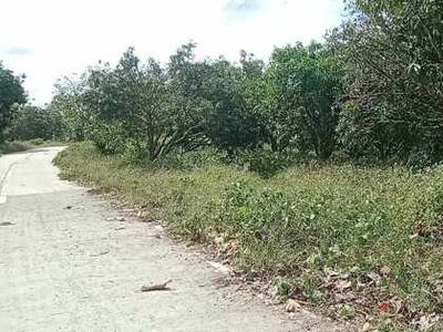 Lot For Sale In Biao Joaquin, Davao