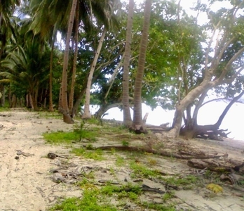 Lot For Sale In San Vicente, Palawan