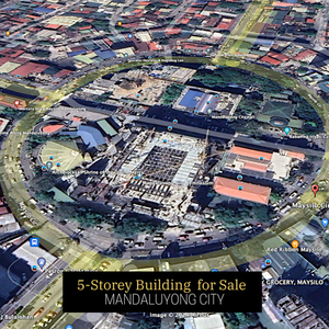 Property For Sale In Mandaluyong, Metro Manila