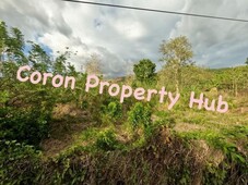 Commercial Lot For Sale Coron Palawan
