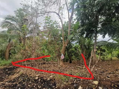 Lot For Sale In Cuyambay, Tanay