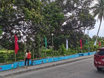 Lot For Sale In Mabolo, Naic