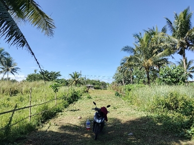 Lot For Sale In Old Rizal, Catarman
